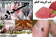 هشدار شبکه دامپزشکی گناباد در خصوص تب خونریزی دهنده کریمه کنگو